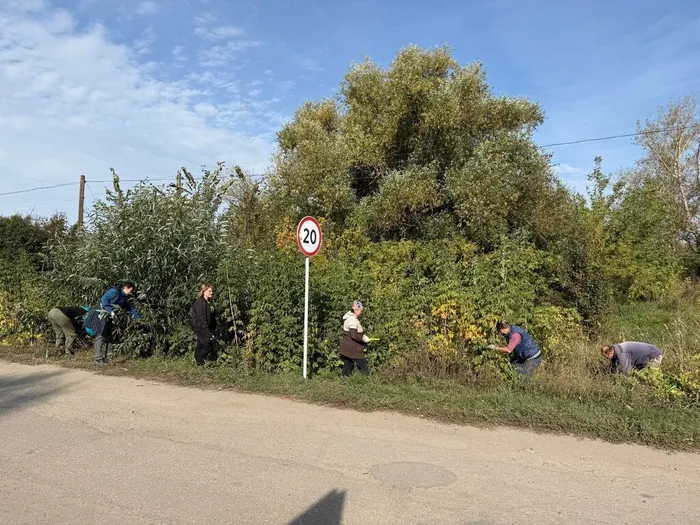 КП. Осенний субботник  (2)