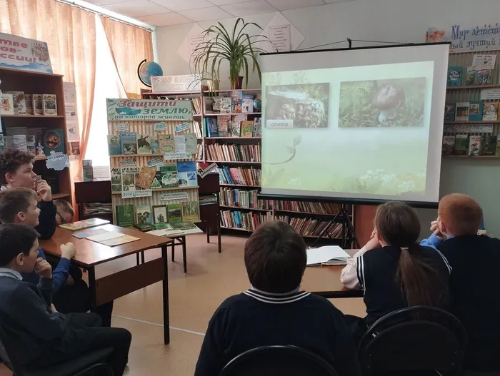 КП. Эко игра «Лес полон чудес» (8)