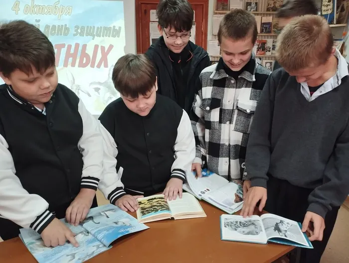 КП. Экологическая карусель (1)