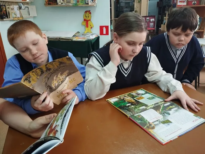КП. Эко игра «Лес полон чудес» (14)
